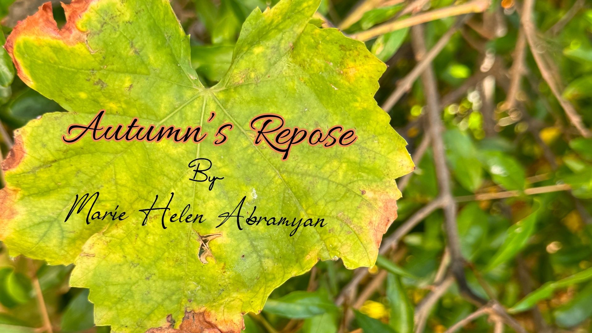 AUTUMN’S REPOSE