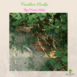 Feather Haiku-3